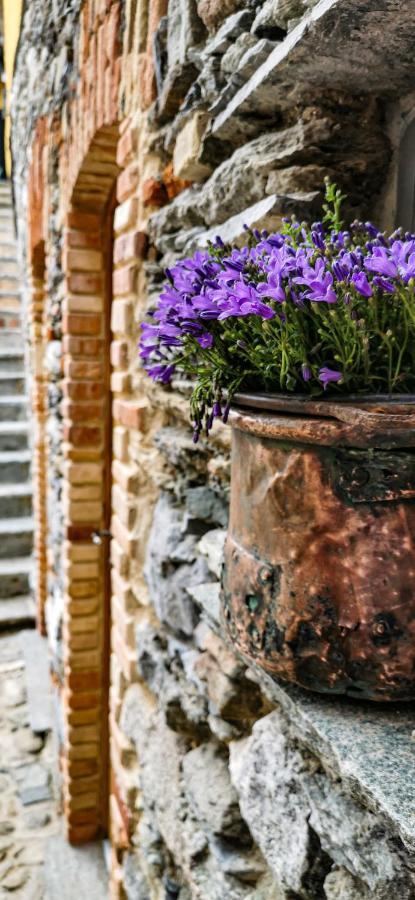 Agriturismo Il Medeghino Musso Εξωτερικό φωτογραφία